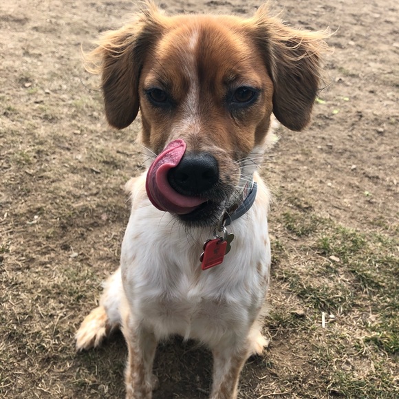 This is Me: Emily - Picture 4 of 4